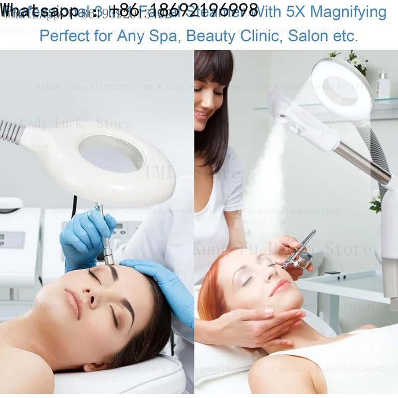 Salon Spa nanosteamer 3-in-1 F - Magnifier With Light reseña y precio