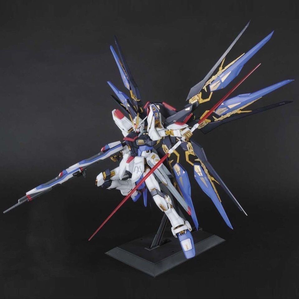 In Stock PG 1/60 DABAN Strike  - Model Kit Zza reseña y precio