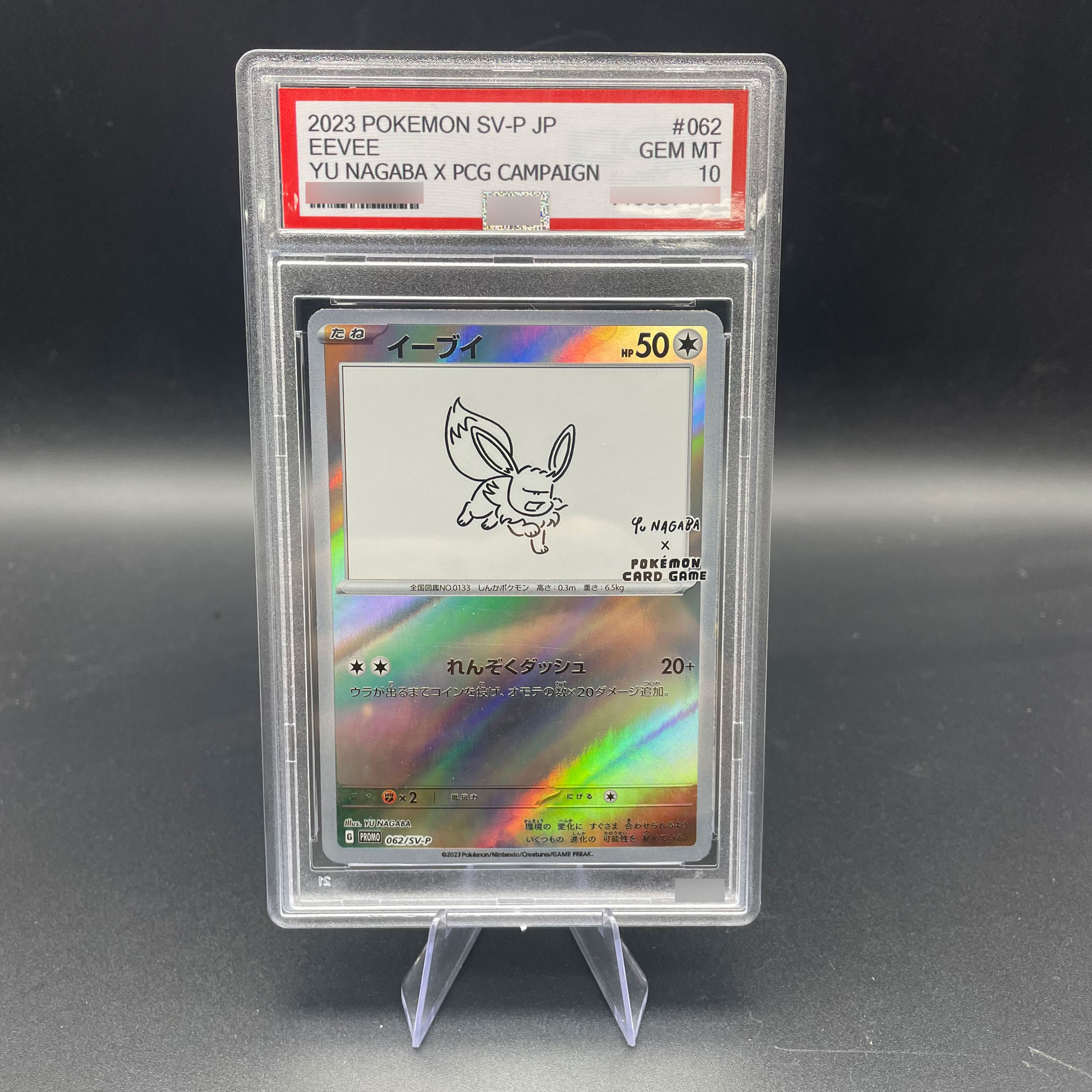 DIY Anime 2023 PTCG SV-P Japan - Model Kit Accessories reseña y precio